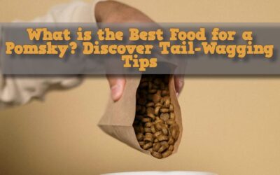 What is the Best Food for a Pomsky? Discover Tail-Wagging Tips